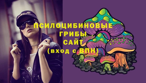 бутират Арсеньев